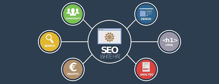 full service seo